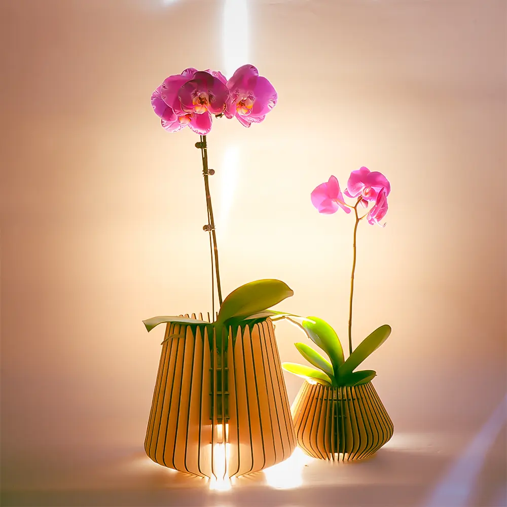 Ortur engraving flowerpot